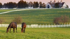 Klimaet i Kentucky, USA