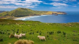 Klimaet i New Zealand