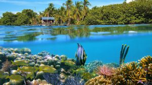 Klimaet i Bocas del Toro, Panama