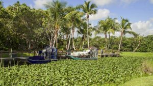 Klimaet i Everglades National Park, Florida