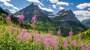 Været i desember 2025 i Glacier National Park, Montana