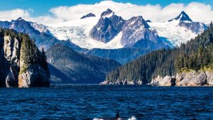 Klimaet i Kenai Fjords National Park, Alaska