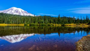 Klimaet i Mount Rainier National Park, Washington