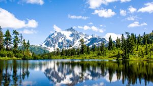 Været i desember 2025 i North Cascades National Park, Washington