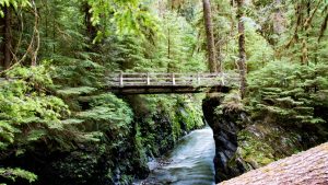 Været i oktober 2025 i Olympic National Park, Washington