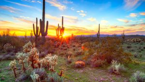 Været i oktober 2025 i Saguaro National Park, Arizona