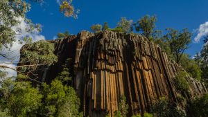 Klimaet i Narrabri West, Australia