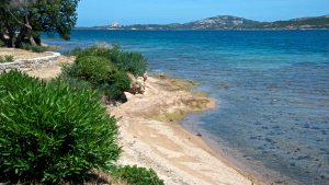 Klimaet i Cannigione, Sardinia