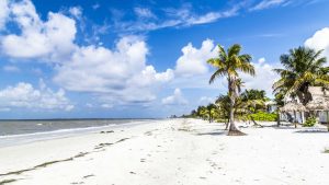 Klimaet i Fort Myers Beach, Florida