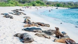 Klimaet i Galápagosøyene, Ecuador