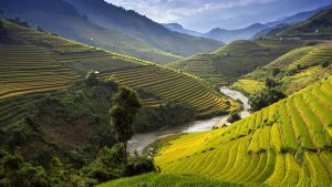 Været i februar 2019 i Sapa, Vietnam