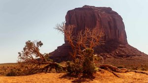 Været i november 2025 i Oljato–Monument Valley, Utah