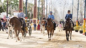 Klimaet i Jerez de la Frontera, Spania