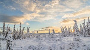 Været i juli 2025 i Lappland (Sverige), Sverige