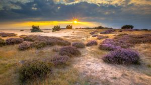 Klimaet i De Hoge Veluwe (nasjonalpark), Nederland