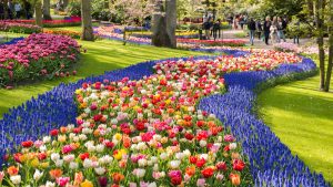 Været i mars 2025 i Keukenhof, Nederland