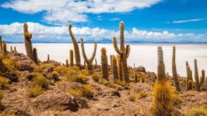 Klimaet i Isla Incahuasi, Bolivia