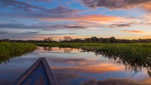 Klimaet i Pucallpa, Peru