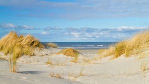 Klimaet i Nieuwvliet-Bad, Nederland