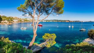 Klimaet i Paguera, Mallorca