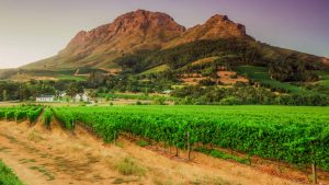 Klimaet i Cape Winelands, Sør-Afrika