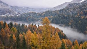 Klimaet i Montana, Alaska