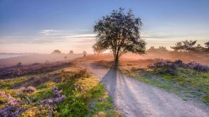 Klimaet i Veluwe, Nederland