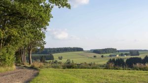 Været i desember 2025 i Vlaamse Ardennen, Belgia