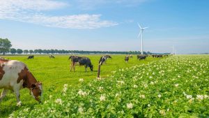 Klimaet i Flevoland, Nederland