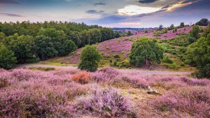 Været i april 2025 i Gelderland, Nederland