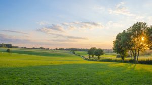 Været i mars 2025 i Limburg, Nederland